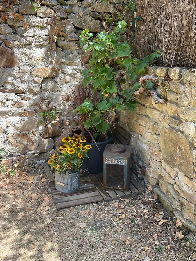 Apartamento Le Patio, Coeur De Ville Avec Garage Et Jardin Vannes